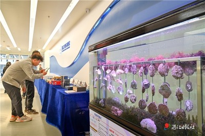 湛江蠔產(chǎn)業(yè)技術(shù)研究院揭牌成立