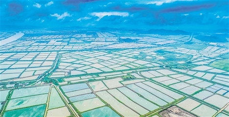 我市又一項(xiàng)省重點(diǎn)領(lǐng)域研發(fā)計(jì)劃項(xiàng)目落地實(shí)施 助推水產(chǎn)養(yǎng)殖朝工業(yè)化方向發(fā)展