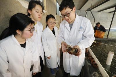 連云港贛榆建立國(guó)內(nèi)首個(gè)短蛸繁育養(yǎng)成體系