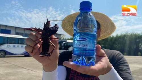 515 科技服務(wù)行動助力湖北水產(chǎn)養(yǎng)殖行業(yè)高質(zhì)量發(fā)展