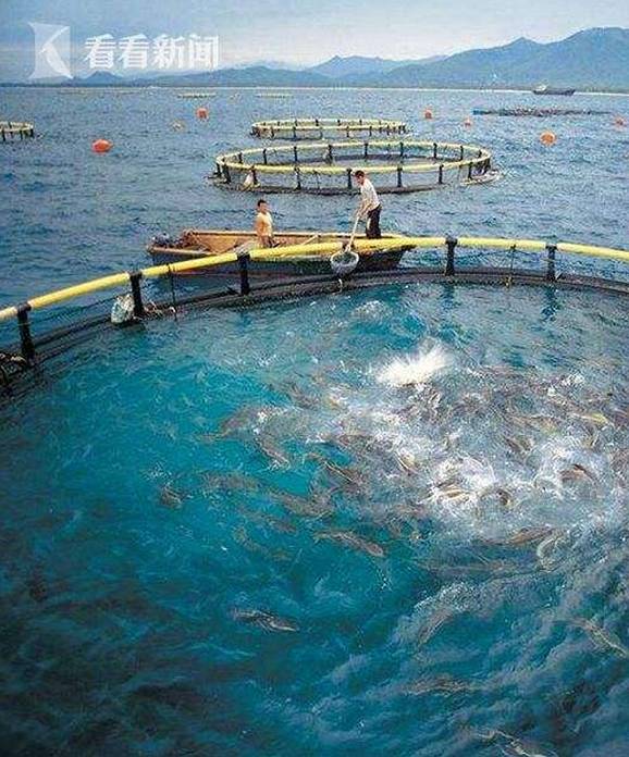 上海水產科學研究院研發深遠海養殖工船與農家樂休閑觀光服務的融合探索