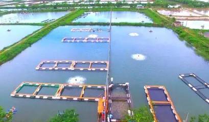 喜訊！斗門8家企業(yè)榮登省級水產(chǎn)養(yǎng)殖榜單，實(shí)力彰顯產(chǎn)業(yè)新高度
