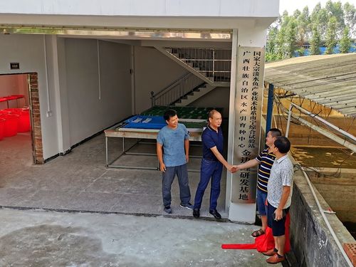 深耕八桂漁水情，科技扶貧譜新篇——記廣西水產(chǎn)引育種中心大宗淡水魚產(chǎn)業(yè)技術(shù)扶貧團(tuán)隊(duì)
